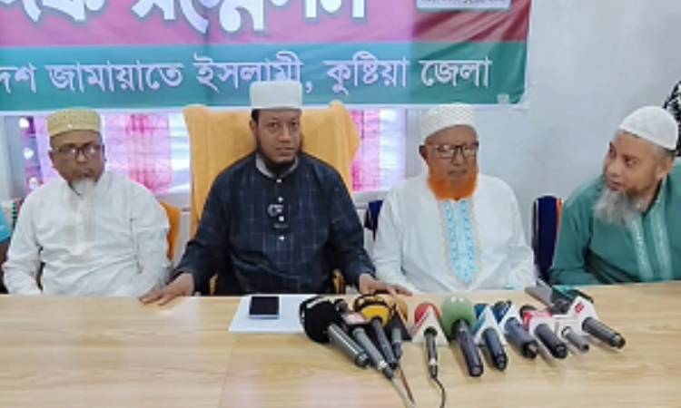 দেশে কোন আইন নেই, মানুষের নিরাপত্তা নেই: আমির হামজা