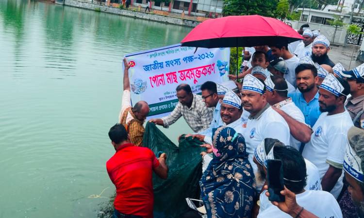 কাউখালীতে জাতীয় মৎস্য পক্ষ উপলক্ষ্যে র‍্যালি ও আলোচনা সভা