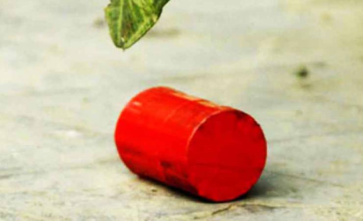 এলিফ্যান্ট রোডে পড়ে আছে একাধিক অবিস্ফোরিত ককটেল