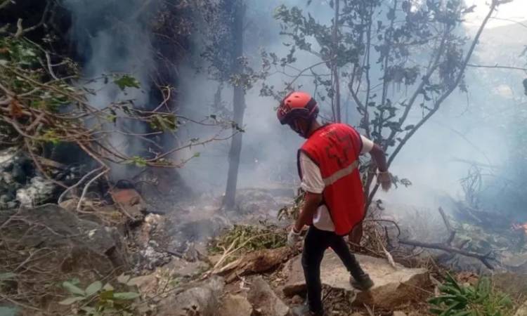 কেনিয়ায় হেলিকপ্টার বিধ্বস্ত, ইকুয়েডরের গোয়েন্দাপ্রধানসহ নিহত ৭