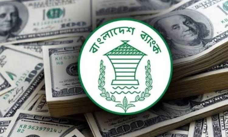 আগস্টের ২৬ দিনে রেমিট্যান্স এলো ২৪৫ কোটি মার্কিন ডলার