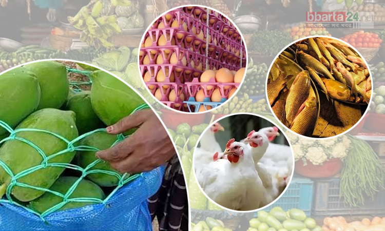 সস্তা সবজি পেঁপে, অস্বস্তি ডিম-মাছ-মুরগির বাজারে