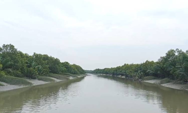 তিনমাস পর দর্শনার্থীদের উন্মুক্ত হচ্ছে সুন্দরবন
