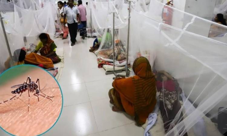 দেশে চোখ রাঙাচ্ছে ডেঙ্গু: একদিনে বছরের সর্বোচ্চ মৃত্যু