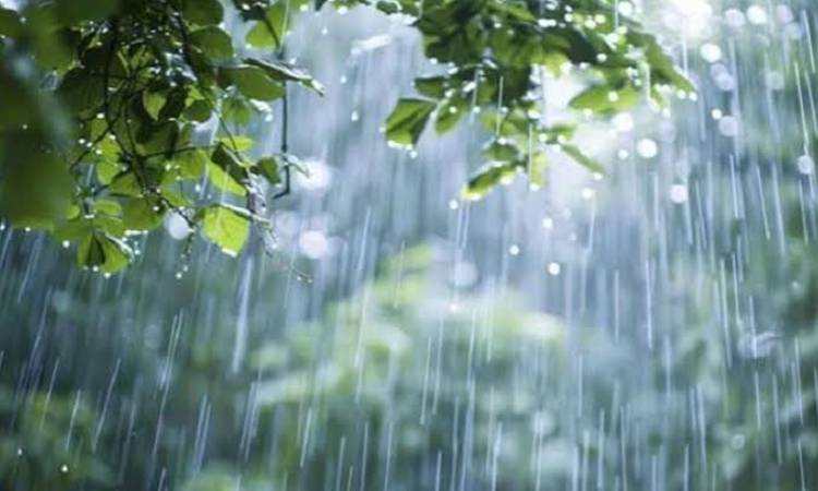 আগামী পাঁচদিন টানা বৃষ্টির আভাস