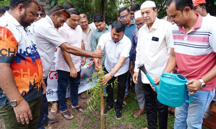 রাজশাহীতে বিএনপির প্রতিষ্ঠাবার্ষিকীতে বৃক্ষরোপণ