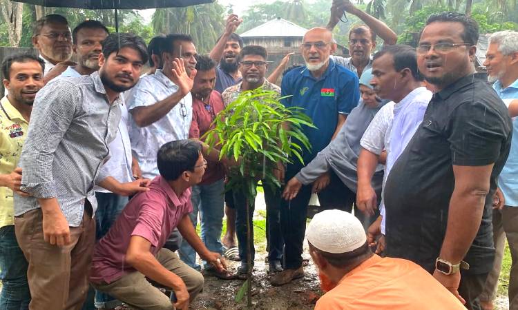 জিয়ানগরে পোনা মাছ অবমুক্ত ও বৃক্ষরোপণ কর্মসূচি পালিত