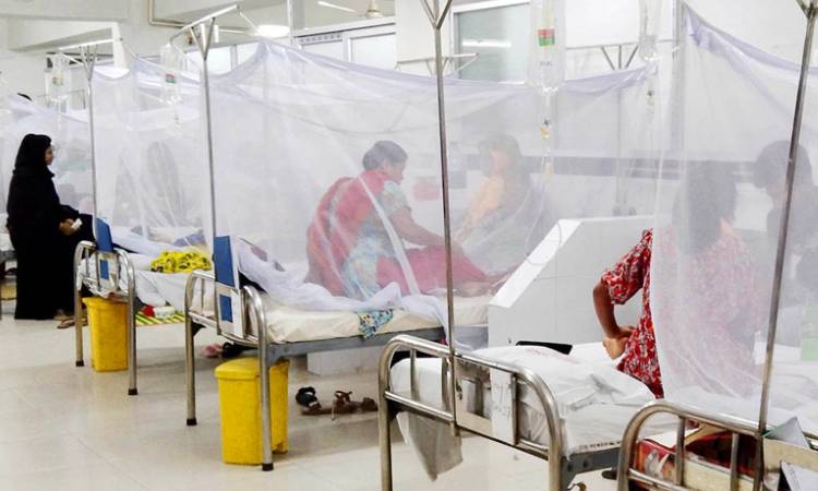 ডেঙ্গুতে একদিনে প্রাণ গেল আরও ৪ জনের