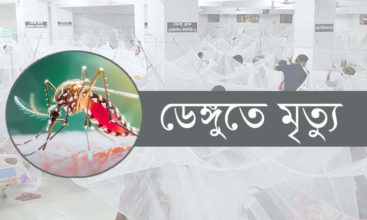 ডেঙ্গু পরিস্থিতির অবনতি: একদিনে সর্বোচ্চ ৯ জনের মৃত্যু