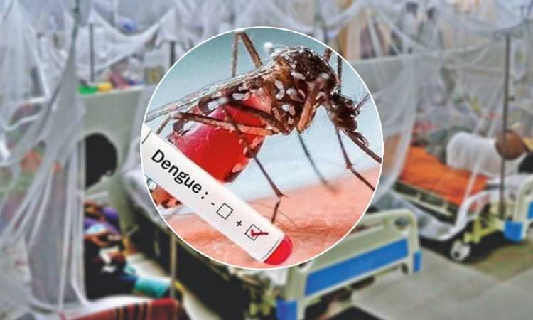 ডেঙ্গুতে বাড়ছে লাশের সারি, একদিনে আরও ৬ মৃত্যু