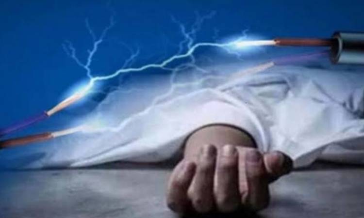 কাউখালীতে গাছের ডাল কাটতে গিয়ে বিদ্যুৎস্পৃষ্টে বৃদ্ধের মৃত্যু