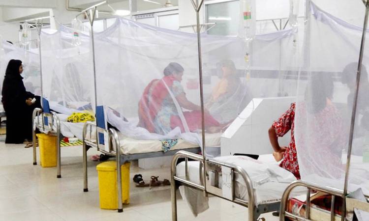ডেঙ্গুতে একদিনে প্রাণ গেল আরও ২ জনের, হাসপাতালে ভর্তি ১০৫৬