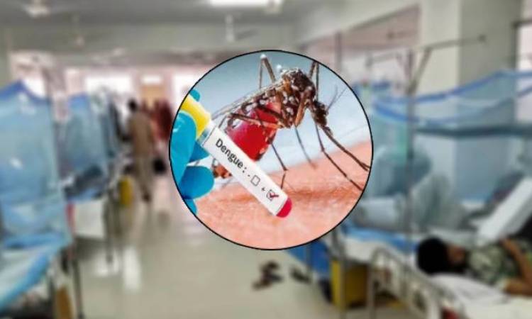 ডেঙ্গুতে একদিনে আরও ৫ জনের মৃত্যু