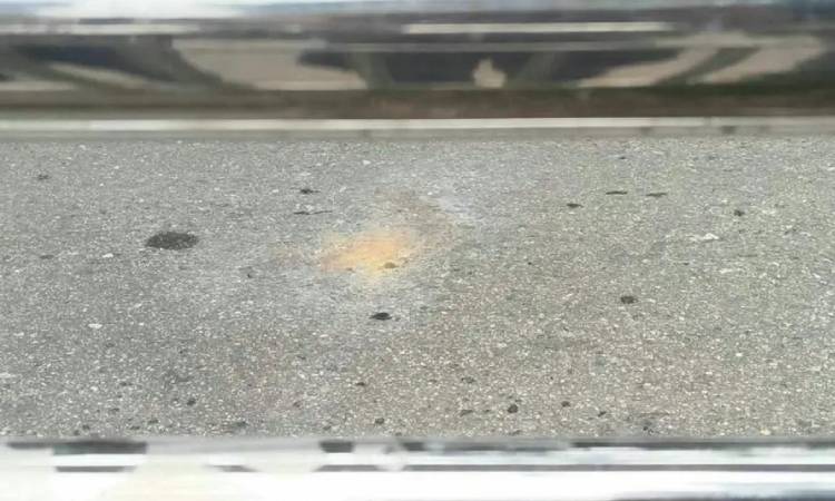 ফের হাইকোর্টের সামনে ককটেল বিস্ফোরণ