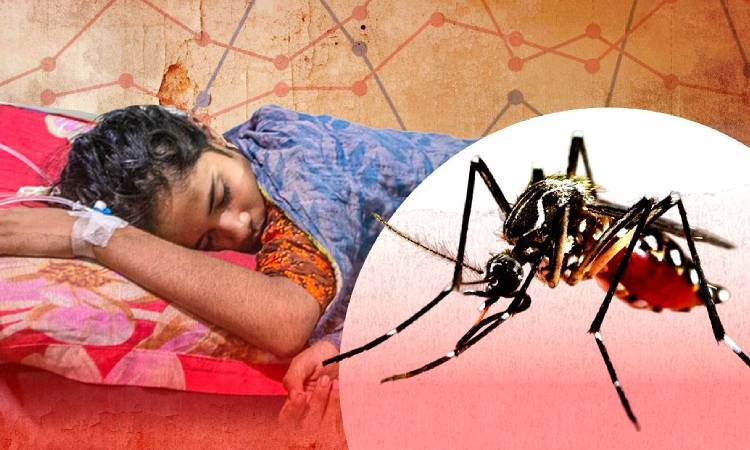 ডেঙ্গুতে একদিনে প্রাণ গেল আরও ৬ জনের