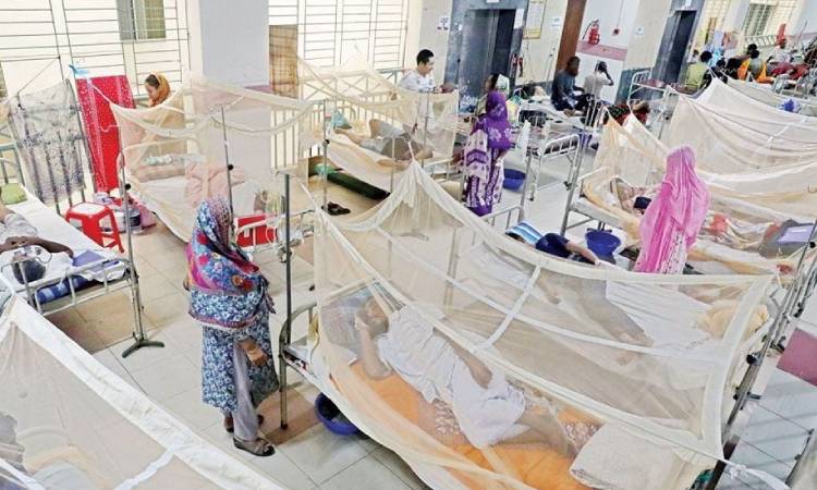 ডেঙ্গুতে একদিনে আরও ৬ জনের মৃত্যু, প্রাণহানি দাঁড়াল ১৯০