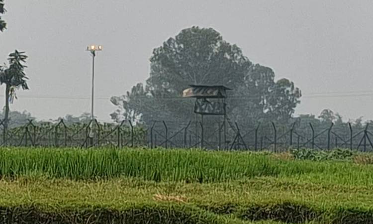 জয়পুরহাট সীমান্তে ৩ যুবককে পুশইনের চেষ্টা, বিজিবির বাধায় পণ্ড
