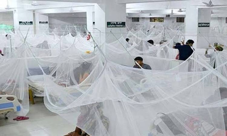 ডেঙ্গুতে আক্রান্ত ১ লাখ ছাড়াল, মোট মৃত্যু ৩০৭