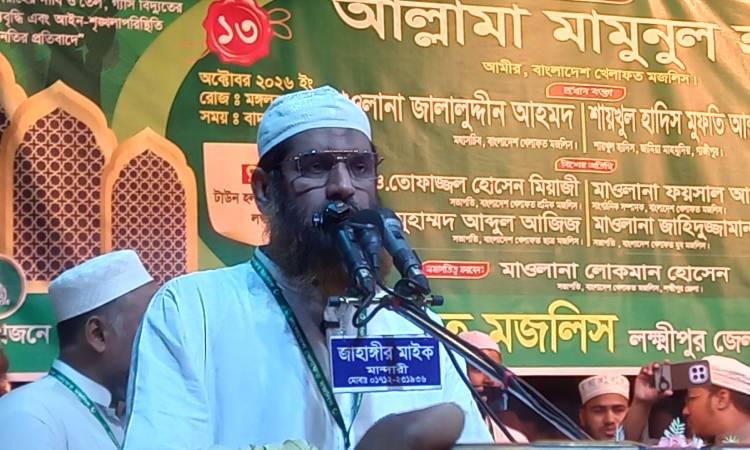 শেখ হাসিনার ভূতে বিএনপিকে ধরেছে: মামুনুল হক