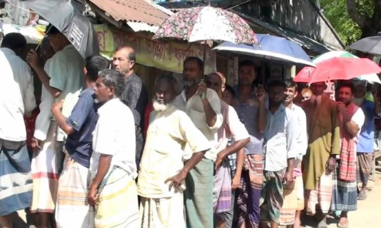 সিংড়ায় সার পেতে কৃষকদের ভোগান্তি, দীর্ঘ লাইন