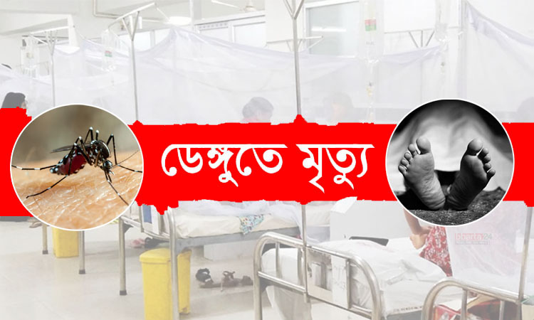 একদিনে ডেঙ্গুতে প্রাণ গেল আরও ৭ জনের