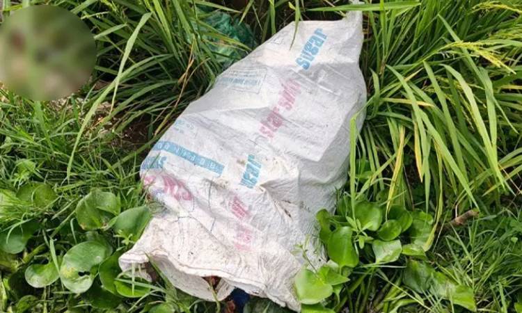 কুমিল্লায় ধানক্ষেত থেকে অটোরিকশা চালকের মরদেহ উদ্ধার