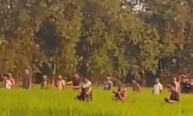 লালমনিরহাট সীমান্তে ভারতীয় বাঘের হামলায় ৩ বাংলাদেশি আহত